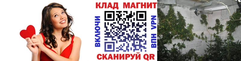 Наркотические вещества Краснотурьинск Альфа ПВП Меф Псилоцибиновые грибы МАРИХУАНА ГАШИШ