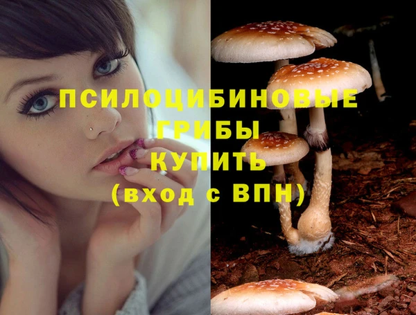 амфетамин Арсеньев