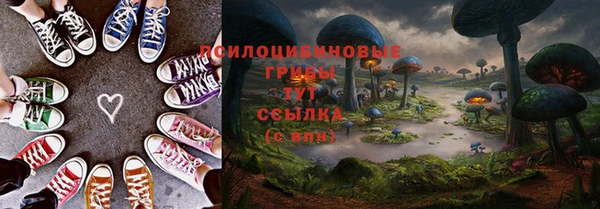 трава Аркадак