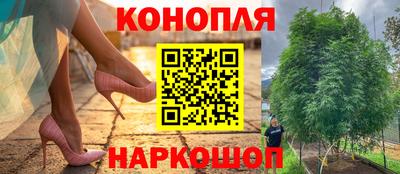 мдма Гудермес