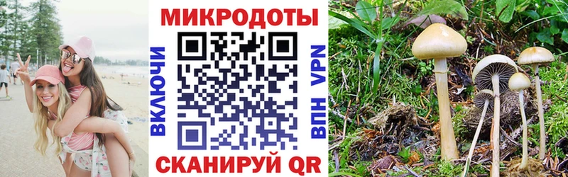 МЕГА tor  Краснотурьинск  Псилоцибиновые грибы Psilocybine cubensis 