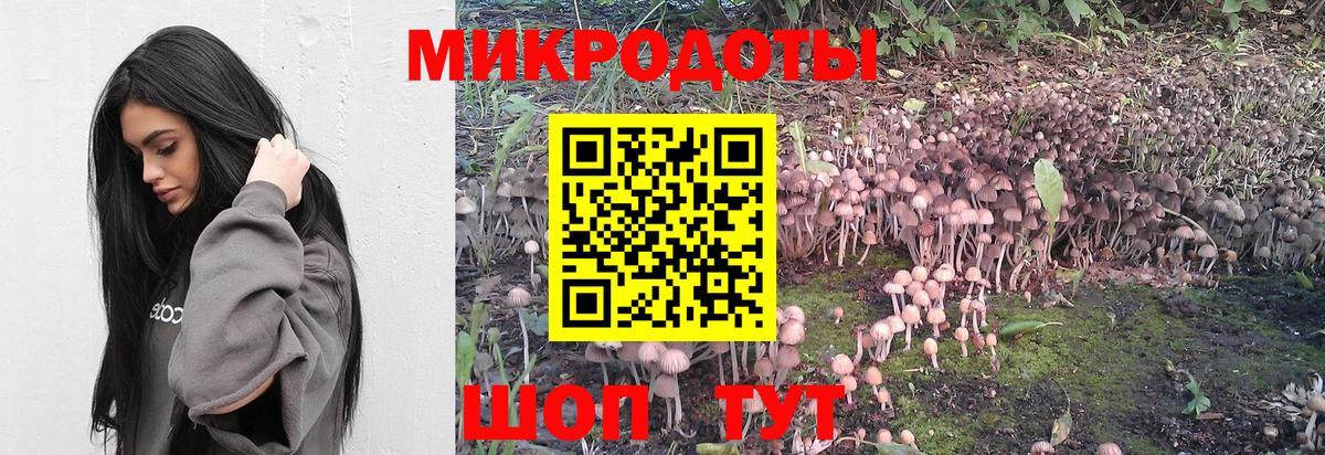 Псилоцибиновые грибы MAGIC MUSHROOMS Краснотурьинск